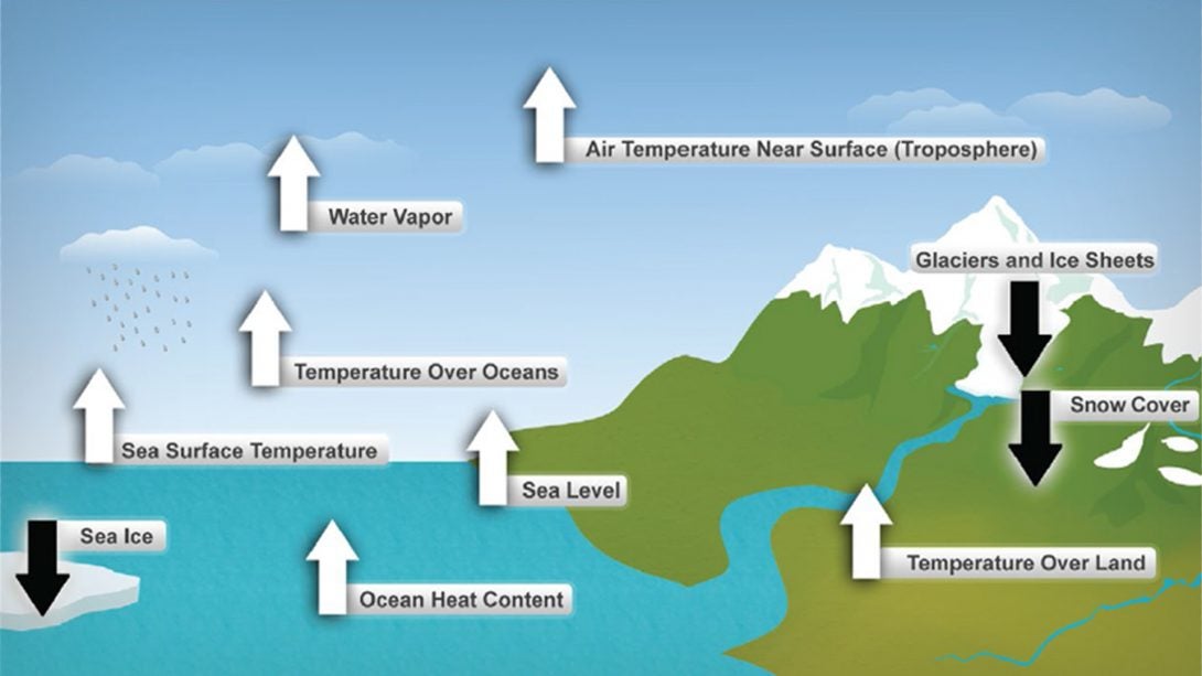 climate change effects on the environment essay