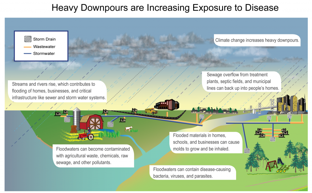 Disease Exposure